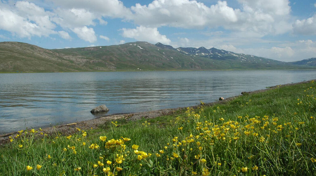 دریاچه نئور