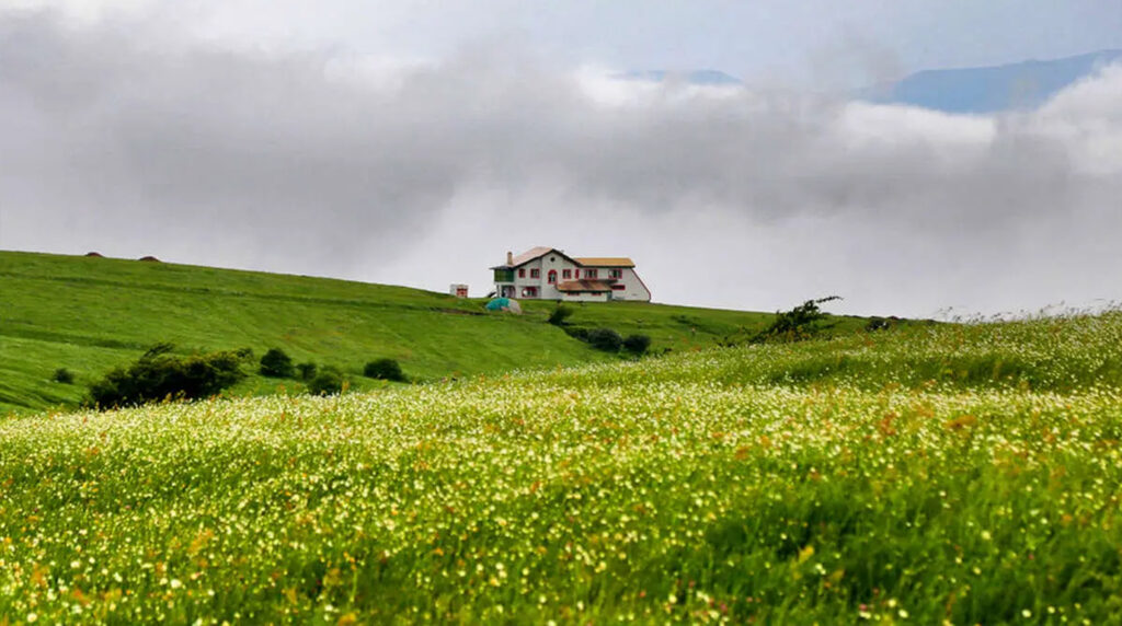 جنگل فندق لو